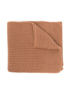Msgm Embroidered-logo Knitted Scarf In 褐色