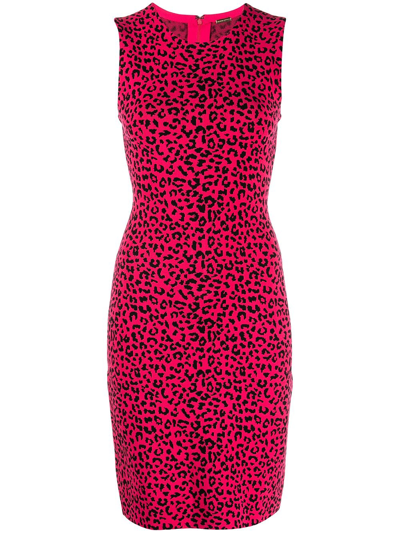 Adam Lippes Leopard Jacquard Sheath Dress In Pink