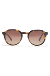 Ted Baker 49mm Round Polarized Sunglasses In Tortoise