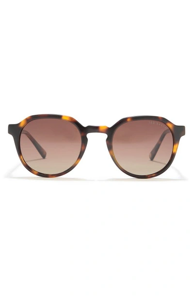 Ted Baker 49mm Round Polarized Sunglasses In Tortoise