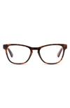 Quay Mini Hardwire 50mm Blue Light Filtering Optical Glasses In Tort/ Gold/ Clear Blue Light