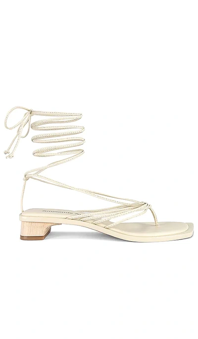 A'mmonde Atelier Allegra Lace Up Sandals In Ivory