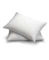 Pillow Gal White Goose Down Firm Density Side/back Sleeper 2-pack Pillows, King In White