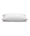 PILLOW GAL WHITE GOOSE DOWN PILLOW AND REMOVABLE PILLOW PROTECTOR, STANDARD/QUEEN