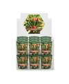 Root Candles Votive Bayberry 20 Hour Candles Set, 18 Piece In Dark Green