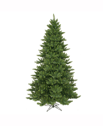 Vickerman 5.5 Ft Camdon Fir Artificial Christmas Tree Unlit
