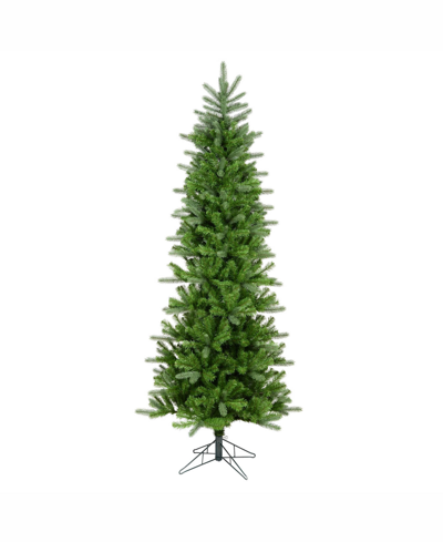 Vickerman 5.5 Ft Carolina Pencil Spruce Artificial Christmas Tree Unlit