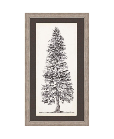 Paragon Picture Gallery Tree Sketch I Wall Art In Brown