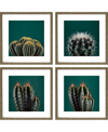 PARAGON PICTURE GALLERY CACTI WALL ART SET, 4 PIECE