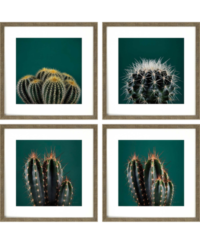 Paragon Picture Gallery Cacti Wall Art Set, 4 Piece In Green