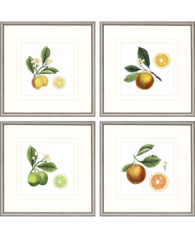 Paragon Picture Gallery Classic Citrus Wall Art Set, 4 Piece In Multi