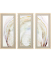 PARAGON PICTURE GALLERY OYSTER SHELL WALL ART SET, 3 PIECE