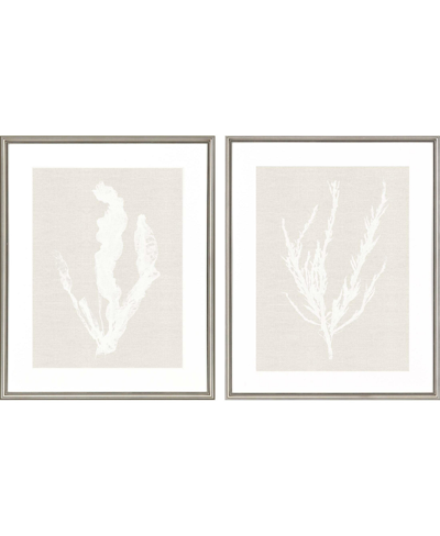 Paragon Picture Gallery Seaweed Wall Art Set, 2 Piece In White