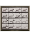 PARAGON PICTURE GALLERY ELK TROTTING WALL ART