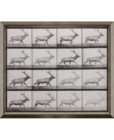 Paragon Picture Gallery Elk Trotting Wall Art In Black