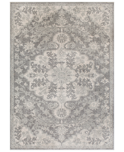 Surya Harput Hap-1070 Light Gray 2' X 3' Area Rug