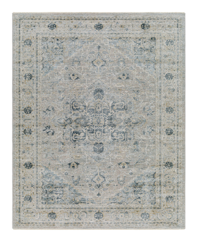 Surya Brunswick Bwk-2319 5' X 7'5" Area Rug In Pale Blue