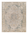 Surya Aspendos Aps-2303 Area Rug, 2' X 3' In Maize/blue