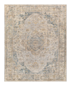 Surya Aspendos Aps-2303 6'7" X 9'6" Area Rug In Maize/blue