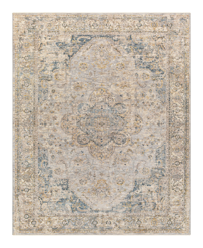 Surya Aspendos Aps-2303 6'7" X 9'6" Area Rug In Multi