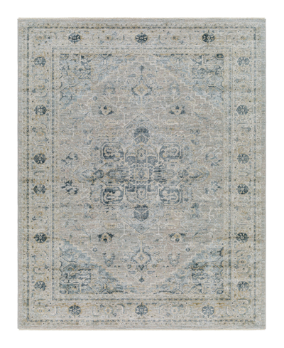 Surya Brunswick Bwk-2319 Area Rug, 2' X 3' In Pale Blue