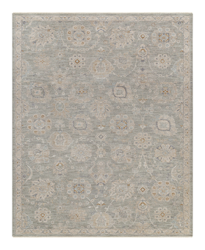 Surya Avant Garde Avt-2335 6'7" X 9'6" Area Rug In Sage/beige