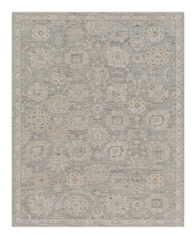 Surya Avant Garde Avt-2335 Area Rug, 5' X 7'5 In Sage/beige