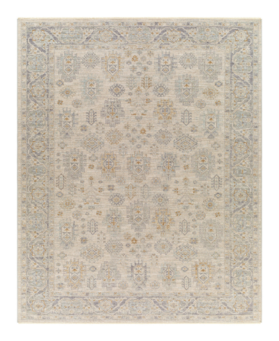Surya Avant Garde Avt-2342 Area Rug, 2'7 X 4' In Cream/gray