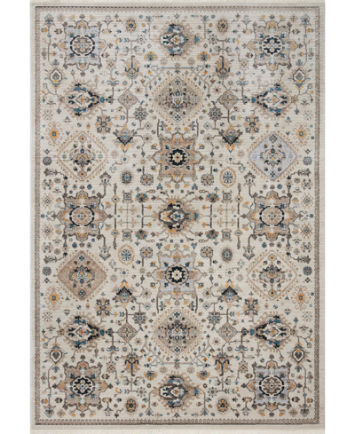 Spring Valley Home Leigh Lei-02 5'3" X 7'6" Area Rug In Ivory