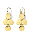 Ippolita 18kt Yellow Gold Classico Crinkle Teardrop Cascade Earrings In Gold