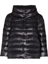 Herno Iconico Cropped Down Puffer Coat In Schwarz