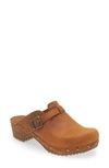 Sanita Kristel Stud Leather Clog In Chestnut