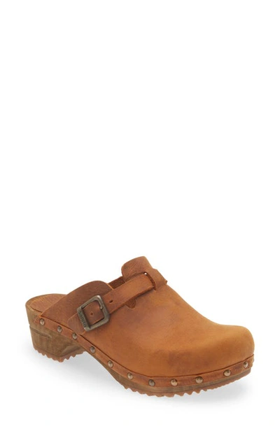 Sanita Kristel Stud Leather Clog In Chestnut