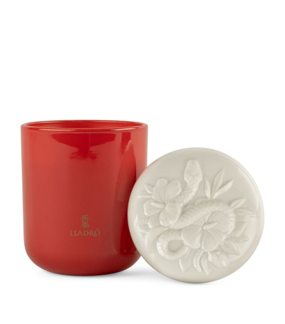 Lladrò Snake Candle - A Secret Orient Scent In Multi