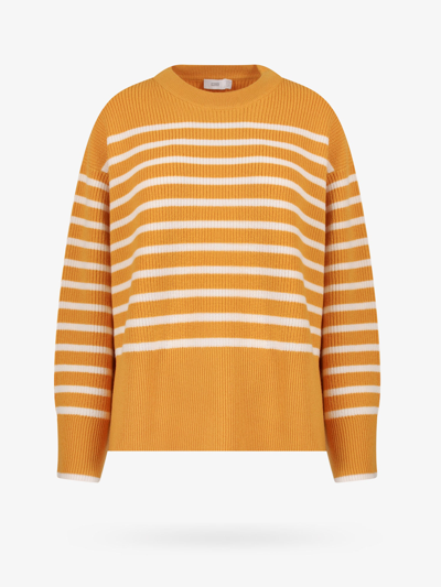 Closed Sweater In Yellow