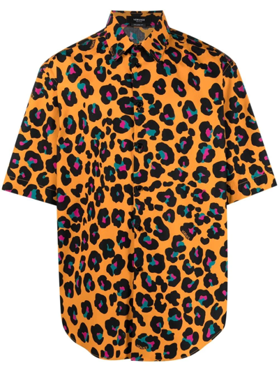 Versace Leopard Print Short Sleeve Cotton Button-up Shirt In Orange