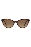 Kate Spade Adeline 55mm Gradient Cat Eye Sunglasses In Havana