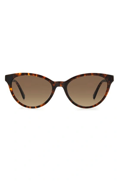 Kate Spade Adeline 55mm Gradient Cat Eye Sunglasses In Havana