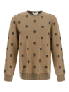 Alexander Mcqueen Skull Jacquard Virgin Wool Sweater In Beige