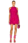 Cult Gaia Feather-embellished Shannon Mini Dress In Qajar Rose