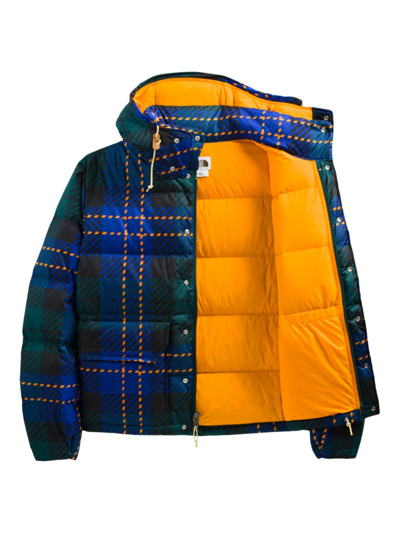 The North Face Printed 71 Sierra Down Short Jacket In Multi