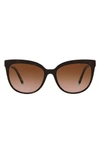 Tiffany & Co 55mm Gradient Cat Eye Sunglasses In Havana Blue