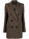 Isabel Marant Ezilea Double-breasted Checked Wool Blazer In Marrone