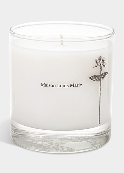 Maison Louis Marie 8.5 Oz. Antidris Cassis Candle