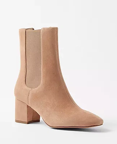 Ann Taylor Block Heel Suede Chelsea Booties In Chai Latte