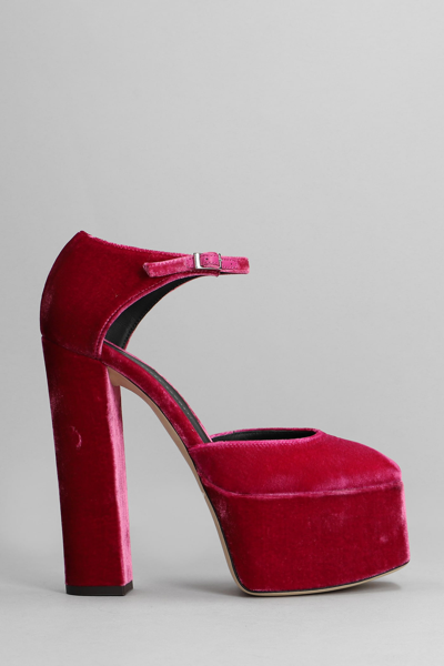 Giuseppe Zanotti Bebe Pumps In Fuxia Velvet In Pink