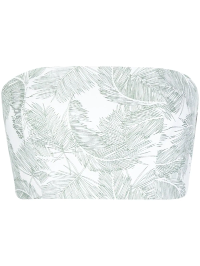 Bambah Palm Leaf-print Bustier Top In Grün