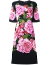 DOLCE & GABBANA rose print cady dress,F62Q3TGDC9211793775