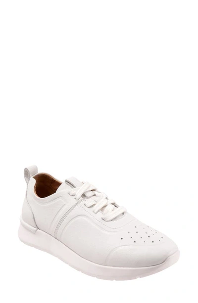 SOFTWALK STELLA SNEAKER