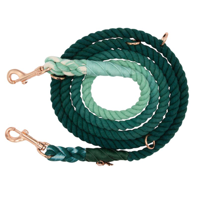Sassy Woof Hands Free Rope Leash In Green